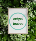 TEA TREE